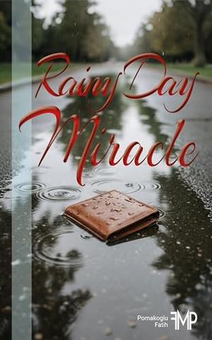 RAINY DAY MIRACLE by Fatih Pomakoglu