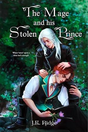 The Mage and His Stolen Prince by J.E. Ridge