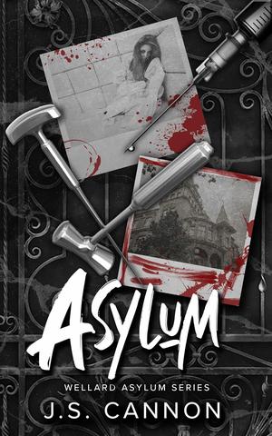 Asylum (Wellard Asylum #7)