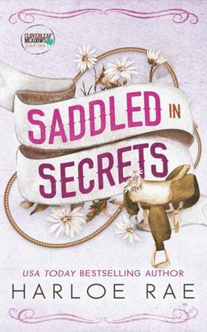 Saddled in Secrets: A Grumpy Bodyguard Small Town Standalone Romance by Harloe Rae