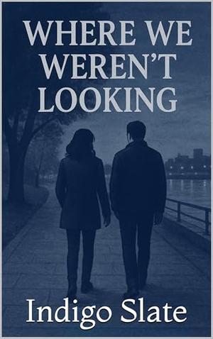 Where We Weren’t Looking by Indigo Slate
