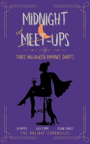 Midnight Meet-Ups (The Holiday Chronicles #1)