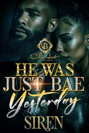 He Was Just Bae Yesterday: An Accidental Love Story by Siren
