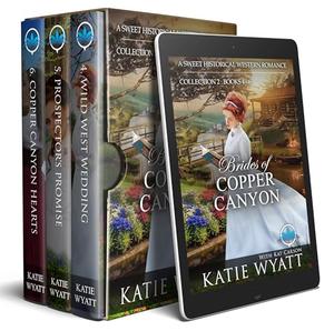 Brides of Copper Canyon Collection 2 : Books 4 - 6: A Sweet Christian Historical Western Religious Romance (Box Set Complete #64)