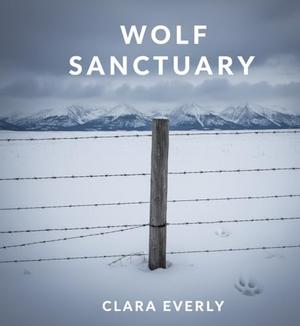Wolf Sanctuaryn by Clara Everly