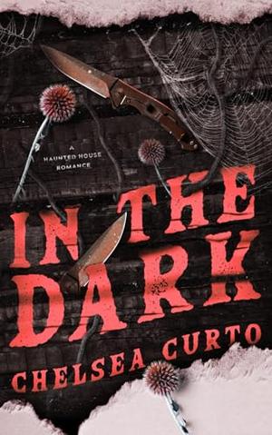 In The Dark by Chelsea Curto