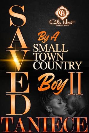 Saved By A Small Town Country Boy 2: The Finale by Taniece