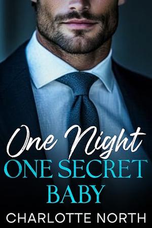 One Night, One Secret Baby: An Enemies To Lovers Fake Relationship Romance by Charlotte North