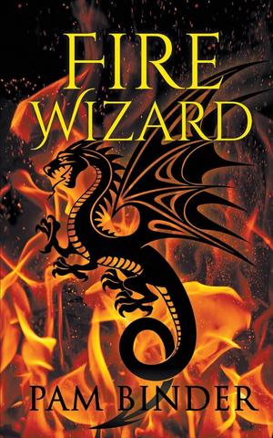Fire Wizard by Pam Binder