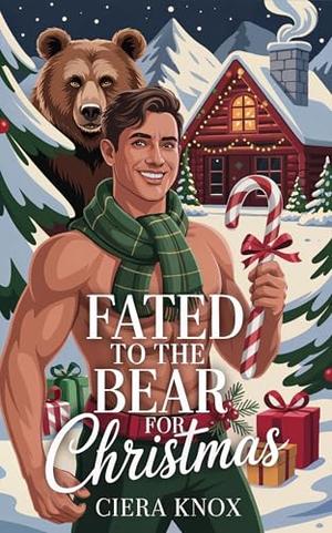 Fated to the Bear for Christmas (A Beary Instalove Christmas #7)