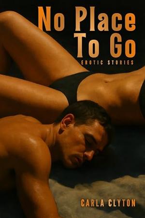 No Place To Go - Erotic Stories: Ten Erotic Encounters with Consequences by Carla Clyton