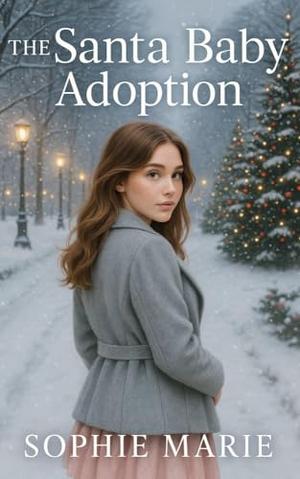 The Santa Baby Adoption by Sophie Marie