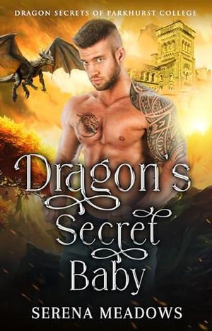 Dragon's Secret Baby: by Serena Meadows