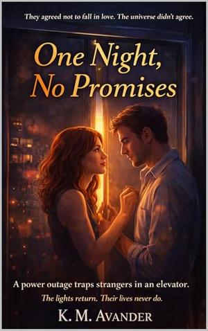 One Night, No Promises (Romance #214)