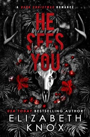 He Sees You (A Dark Holiday #1)