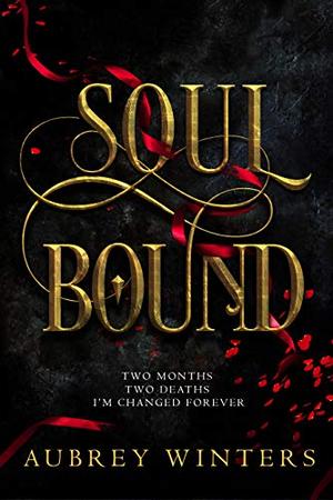 Soul Bound (The Shadow World #2)