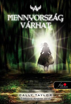 Heaven Can Wait by Cally Taylor