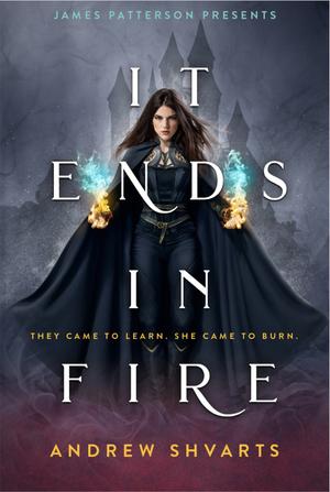 It Ends in Fire by Andrew Shvarts
