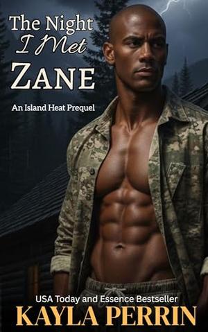 The Night I Met Zane by Kayla Perrin