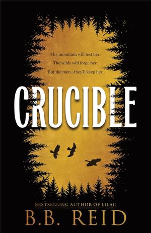 Crucible by B.B. Reid