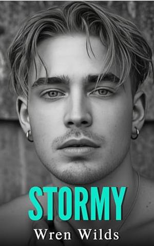 Stormy: An M/M Romance by Wren Wilds