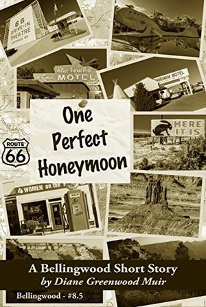 One Perfect Honeymoon (Bellingwood #8.5)