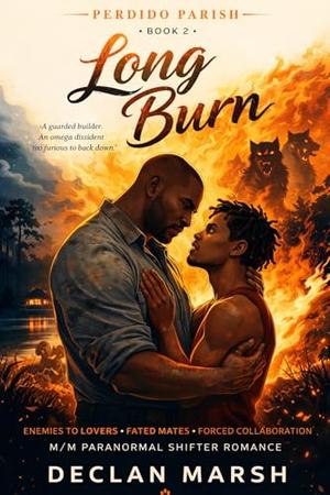 Long Burn by Declan Marsh