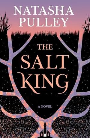 The Salt King: A Novel by Natasha Pulley