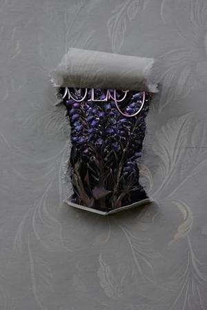 Obsessed: A Thorned Thistle Dark Romance by Merrigan Calder