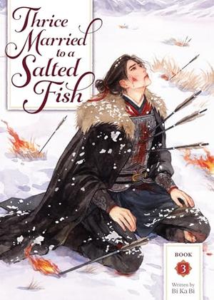 Thrice Married to a Salted Fish (Novel) Vol. 3 (Thrice Married to a Salted Fish (Novel) #3) by Bi Ka Bi