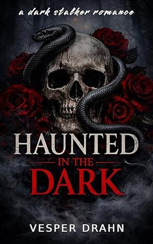 Haunted in the dark: Forced Proximity Obsessive Hero Dark Stalker Romance by Vesper Drahn
