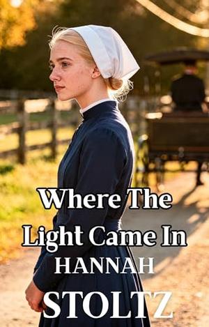 Where The Light Came In by Hannah Stoltz