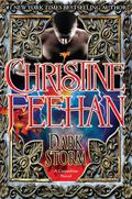 Dark Storm by Christine Feehan