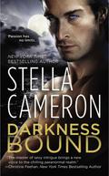 Darkness Bound (Chimney Rock #1) by Stella Cameron