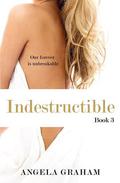 Indestructible (Harmony #3) by Angela Graham