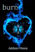 Burn by Addison Moore