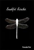Beautiful Disaster (The Bet #1) by Francette Phal