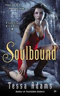 Soulbound (Lone Star Witch #1) by Tessa Adams
