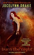 Burn the Night by Jocelynn Drake