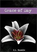 Grace of Day by S.L. Naeole