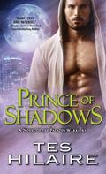 Prince of Shadows (Paladin Warriors #3) by Tes Hilaire