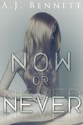 Now or Never (Alexander Twins #1) by A.J. Bennett