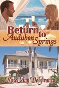 Return to Audubon Springs (Brothers of Audubon Springs #1) by RoseAnn DeFranco
