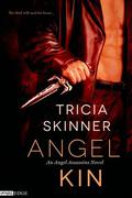 Angel Kin (Angel Assassins #1) by Tricia Skinner