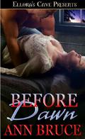 Before Dawn (The Hunters #1) by Ann Bruce