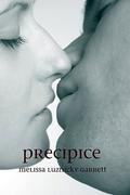 Precipice by Melissa Luznicky Garrett