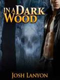 In a Dark Wood by Josh Lanyon