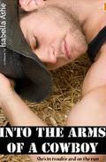 Into the Arms of a Cowboy by Isabella Ashe