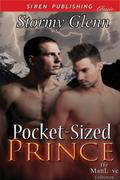 Pocket-Sized Prince by Stormy Glenn
