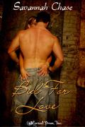 Bid For Love by Savannah Chase